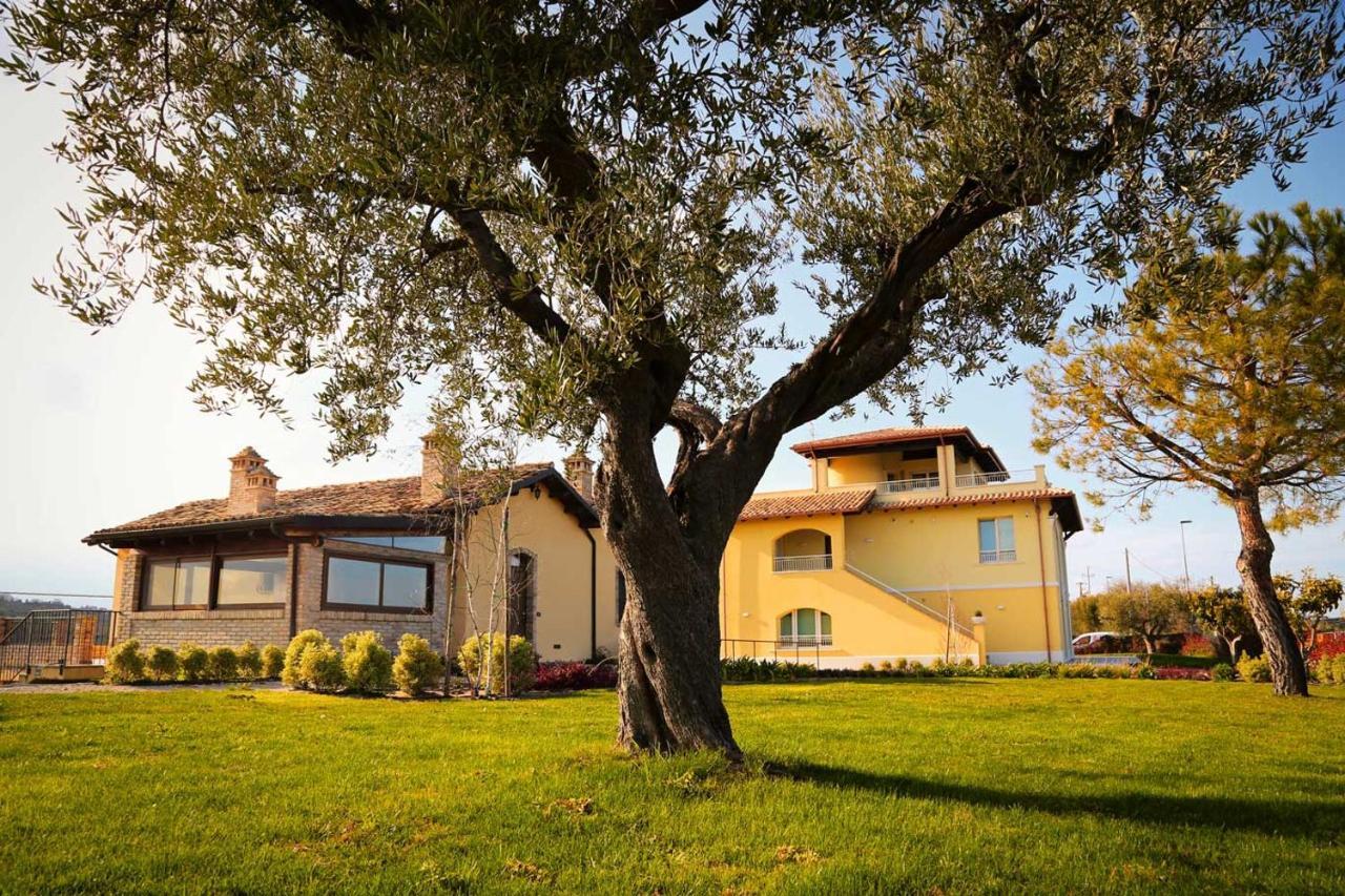 Agriturismo Biocore 2 - Colledoro Giulianova Exteriér fotografie